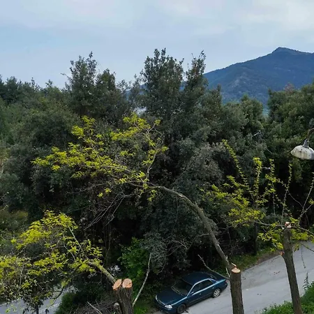 Apartament Ingreen