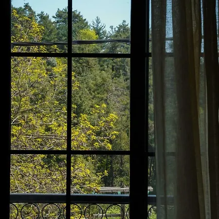 Apartament Ingreen *