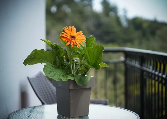 Ingreen Potamia (Thasos)